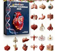 Calendrier de l'Avent 2025 Anatomie - 24 jours de mini surprises d'organes humains, 2D humoristiques en acrylique, calendrier de l'Avent scientifique pour les médecins et les amateurs d'anatomie