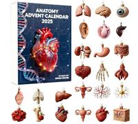 Calendrier de l'Avent 2025 Anatomie - 24 jours d'organes humains - Ornements en acrylique 2D - Calendrier de compte à rebours de Noël pour les amateurs d'anatomie, les amateurs de science et cadeaux