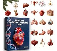 Calendrier de l'Avent 2025 Anatomie - Compte à rebours de Noël - 24 jours - Ornements amusants du corps humain avec squelette, cœur, figurine de cerveau, cadeau pour étudiants en médecine et médecins