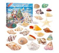 Calendrier de l'Avent 2025 avec 24 Coquillages, Cadeaux Scientifiques Éducatifs à Collectionner pour le Compte à Rebours des 24 Jours de Noël, Idéal pour les Passionnés de l'Océan