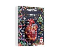Calendrier de l'Avent 2025 | Calendrier de l'Avent scientifique avec figurines d'anatomie 2D | Pendentifs de Noël éducatifs pour table murale, salon, chambre de fenêtre de porte