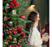 Calendrier de l'Avent 2025 en acrylique 2D, décoration de parcs nationaux 24 jours, calendrier de compte à rebours 2025, pour adultes et amoureux de la nature