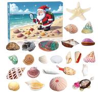 Calendrier de l'Avent 2025 en coquillages - Collection de 24 jours de coquillages naturels - Compte à rebours pour enfants