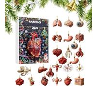 Calendrier de l'Avent 2025 - Figurines d'anatomie 2D 2025 | Calendrier de Noël corps humain avec cerveau, pour mur, armoire, fenêtre, chambre à coucher, salon, vacances, fête d'anniversaire