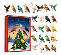 Calendrier de l'Avent 2026 avec 24 jours en acrylique 2D | Oiseaux sur le thème des vacances pour femmes hommes amateurs de nature fête maison salon arbre mur fenêtre cheminée