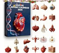 Calendrier de l'Avent Ana-Tomy 2025 - 24 Jours Surprises humaines,Calendrier Compte rebours Miniatures humaines Amusantes,Compte rebours Noël inspiré Science infirmières Amateurs d'anatomie,1Pcs