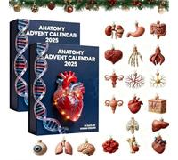 Calendrier de l'Avent Anatomie 2025-24 jours de découvertes sur les organes du corps humain | Décorations de Noël 2D Art Médical | Cadeau scientifique éducatif pour étudiants (2Pcs)