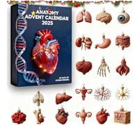 Calendrier de l'Avent Anatomie 2025-24 jours de découvertes sur les organes du corps humain | Décorations de Noël 2D Art Médical | Cadeau scientifique éducatif pour étudiants (1Pc)