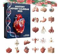 Calendrier de l'Avent Anatomie 2025, 24 jours, décorations anatomiques en acrylique, pendentifs compte à rebours Noël, ensemble thématique mini-modèles d'organes humains 2D(1pcs)