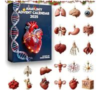 Calendrier de l'Avent Anatomie 2025, ensemble de décorations surprises compte à rebours 24 jours, décoration d'organes humains en acrylique 2D, cadeau for les passionnés de médecine