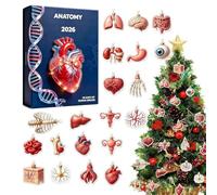 Calendrier de l'Avent Anatomie 2026 Compte-Rebours 24 Jours Ornements | Pendentif Structure Corps Humain pour Médecins Infirmiers Enseignants Collectionneurs Maison Bureau Appartemen