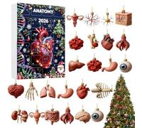 Calendrier de l'Avent Anatomie 2026 Déco Sapin de Noël en Acrylique 2D 24