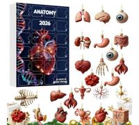 Calendrier de l'Avent Anatomie 2026 Déco Sapin de Noël en Acrylique 2D 24