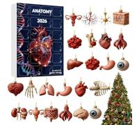 Calendrier de l'Avent Anatomie 2026 Décorations de Noël en Acrylique 2D