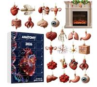 Calendrier de l'Avent Anatomie Déco Sapin de Noël en Acrylique 2D 24 Jours