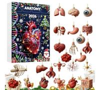 Calendrier de l'Avent Anatomie Déco Sapin de Noël en Acrylique 2D 24 Jours