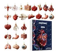 Calendrier de l'Avent Anatomie Décorations de Noël en Acrylique 2D pour 24