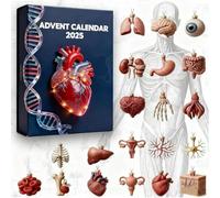 Calendrier de l'Avent anatomique 2025, 24 jours de surprises d'organes, calendrier de l'Avent scientifique avec parties du corps humain, pour étudiants en médecine, enseignants, amateurs de science