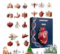 Calendrier de l'Avent anatomique - Calendrier de compte à rebours de Noël, pendentif 24 jours en acrylique 2D, figurines amusantes d'anatomie humaine pour médecins, infirmières, enseignants, étudiants