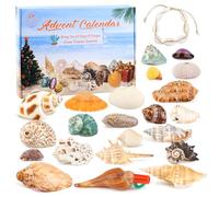 Calendrier de l'Avent Coquillage 2025, Calendrier de Compte à Rebours de Noël avec Coquillages de Collection Petits Cadeaux Collection Cadeaux de Fête Dernier Calendrier de l'Avent de 24 Jours de Fête