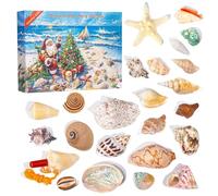 Calendrier de l'Avent Coquillages 2025, Calendrier de compte à rebours Noël 24 jours avec coquillages marins pour les passionnés l'océan Collection Apprentissage 'Avent Noël
