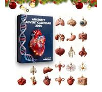 Calendrier de l'Avent d'anatomie 2025, calendrier de compte à rebours de Noël de 24 jours avec ornements d'organes humains en acrylique 2D, cœur, figurine de cerveau, pour les amateurs (1pcs)