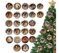 Calendrier de l'Avent de la Nativité | 24 Jours Décoration Religieuse Naissance de Jésus Compte à Rebours | Ornements 2D en Acrylie pour Sapin Voiture Maison Fête Baptême | Décoration Crèche