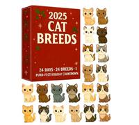 Calendrier de l'Avent de Noël 2025, 24 jours en acrylique, compte à rebours à suspendre, pour porte d'entrée, bureau, couronne, escalier, fenêtre, cheminée, mur, jardin, salon