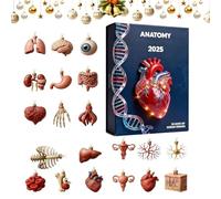 Calendrier de l'Avent de Noël 2025 | Noël 24 jours suspendu en acrylique 2D - Miniatures amusantes d'anatomie humaine, pour laboratoires, école, arbre mural, médecins, infirmières, étudiants