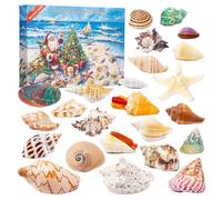 Calendrier de l'Avent de Noël,24 Jours de Jouets pour Compter les Jours jusqu à Noël | Coquillages Modèle Pédagogique Exploration Scientifique pour Ados Adultes Maison École