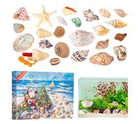 Calendrier de l'Avent de Noël - Compte à Rebours de Noël 24 Jours | Coquillages Modèle Pédagogique Exploration Scientifique pour Ados Adultes Maison École