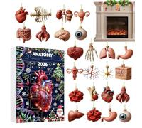 Calendrier de l'Avent de Noël - Thème « Anatomie de l'homme » | Acryla 24 | Orgues décoratives plates en acrylique 2D pour présentation de bureau et mur de salon
