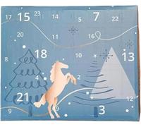 Calendrier de l'Avent design cheval ciel d'hiver avec compte à rebours de 24 jours de chevaux, cadeaux et surprises pour propriétaires de chevaux, cavaliers et écuries