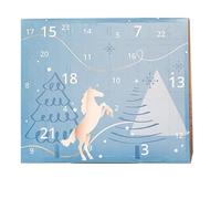 Calendrier de l'Avent design ciel d'hiver, Horse Calendrier de l'Avent, avec compte à rebours de 24 jours de chevaux, cadeaux et surprises pour propriétaires de chevaux, cavaliers et écuries