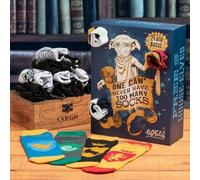 Calendrier de l'Avent Harry Potter Dobby avec chaussettes