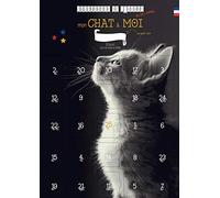 Calendrier de l'Avent Mon Chat & Moi pour Adulte et Chat | 25 jeux et astuces à partager, Calendrier de l'Avent ou de l'Après, Format A3, Crochet inclus