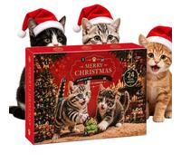 Calendrier De L'Avent Noël 2026 Ensemble De Interactif Festif Pour Exercice | pour Chat Compte à Rebours Noël 24 Jours Pour Chaton En Vacances Au Jardin Et Sur La Pelouse