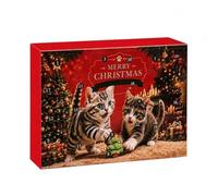 Calendrier de l'Avent Noël 2026 Ensemble d'Exercice Interactif Destiné au | Calendrier De L'Avent Avec Interactifs Variés Destinés Au Chat Pour le en Saison des Fêtes Jardins et Porches
