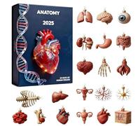 Calendrier De L'Avent Pendentif En Acrylique 2D Compte À Rebours Noël | Miniatures Amusantes D Anatomie Humaine Pour Anniversaire Diplôme Fêtes Médecins Enseignants Infirmières