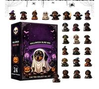 Calendrier de l'Avent pour Halloween teckel - Calendrier de compte à rebours - Décoration pour chien