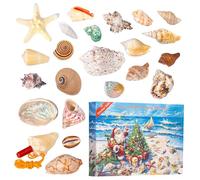 Calendrier de l'Avent Seashell - 2025 Compte de Noël 24 jours avec coquillages et étoiles de mer, cadeau de Noël éducatif et à collectionner, calendrier de surprises scientifiques et de nature