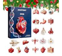 Calendrier de Noël Anatomie 24 jours 2D Acrylique Compte à rebours | Décorations de sapin festives pour infirmières, étudiants, enseignants, collectionneurs, maison, bureau, salle de classe