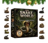 Calendrier de Noël Décorations de serpent en acrylique 2D 2026 pour 24 | Déco de Noël compte à rebours pour garçons filles adolescents adultes maison salon mur bureau étagère fête du Nouvel