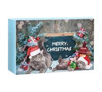 Calendrier de Noël pour chat, jouet de l'Avent 2025-24 jours, jouets pour chaton, calendrier de compte à rebours pour animaux de compagnie | pour Noël, maison, , festival, vacances