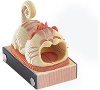 Calendrier De Pièce De Temps,Calendrier 3D 2025,Calendrier De Pièce De Temps 2025,Calendrier Déchiré à La Main Gravé Au Laser,Sculpture en Papier Chat Orange 3D Calendrier,p, Orange