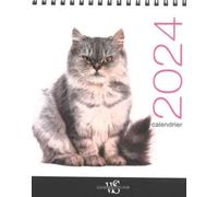 Calendrier de table 2024 Chats - Collectif - White Star Eds - broché - Calendrier