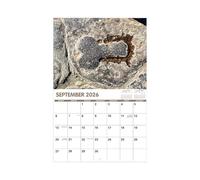 Calendrier de table 2026, 11 x 17 pouces, pour la maison, les cactus, 12 mois, planificateur amusant pour la famille, la chambre à coucher, la maison, la salle de classe, l'école, le dortoir
