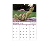 Calendrier de table 2026 - 12 mois - Motif cactus - 28 x 43 cm - Calendrier amusant pour appartement, chambre à coucher, salon, chambre d'étudiant, école, famille