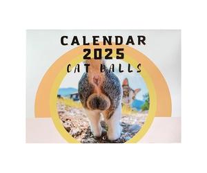 Calendrier de trou du cul de chat - Calendrier mural humoristique pour les amoureux des chats - Calendrier mural 2025 pour les amoureux des chats - Calendrier 2025 à suivre avec précision les dates