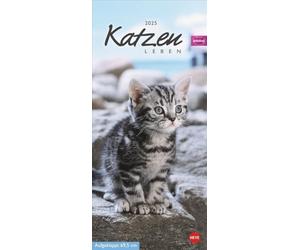 Calendrier de vie de chat Whiskas 2025 : des chatons mignons dans toutes les situations de la vie dans un calendrier mural à inscrire. Toujours avoir une vue d'ensemble de tous les rendez-vous avec le